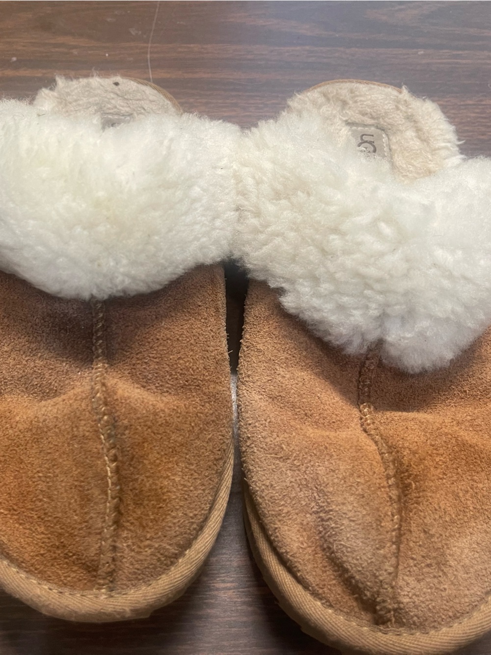 UGG Slippers 7